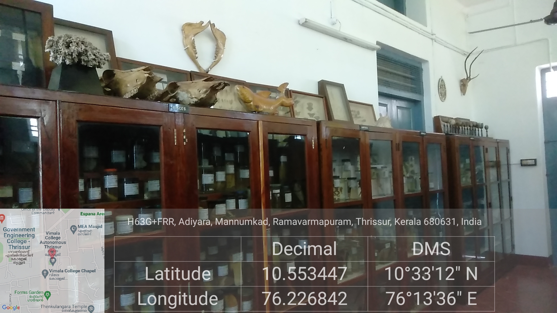 Zoology Museum